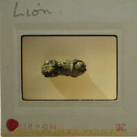 Close-up photograph of a small, dark object on a light background.