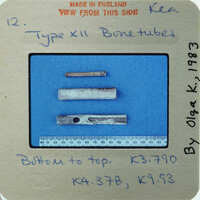 A collection of bone fragments displayed on a blue background with labels and measurements.