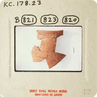 Ancient pottery fragment on display.