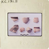 Collection of ancient pottery shards on display.
