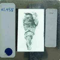 Terracotta figurine hair braid from back K1.458.