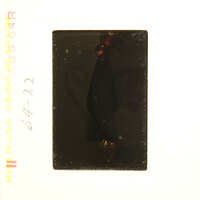 Small, dark object with red details on a white background.