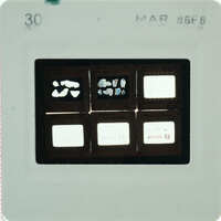 A slide with images of frescoes