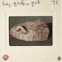 A photograph of an ancient artifact, possibly a figurine or sculpture, with visible signs of age and wear.