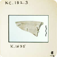 Ancient artifact, possibly a piece of pottery with markings and symbols, photographed on a white background.