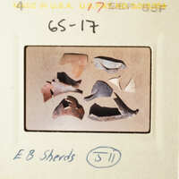 This is a photo of a collection of broken pottery pieces.