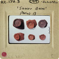 Old microscope slides with circular samples, possibly fossilized material.