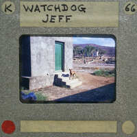 A dog sitting on a step outside of a building with mountains in the background.