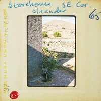 A vintage photo of a stone house with a mountainous landscape in the background, featuring a small tree and a wall made of rocks.