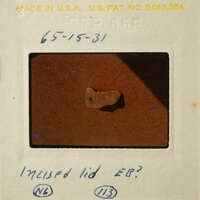 Old photograph with handwritten notes on white border, featuring an object labeled as "INCUSED LID" and possibly related to a patent.