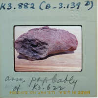 Terracotta fragment.