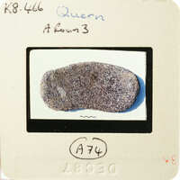 A photograph of an object, possibly a rock, displayed on a white background with handwritten labels and numbers.