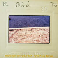 Photo of a bird on the beach with water and sky in the background, taken by K Bird on July 20th, 1970.