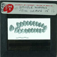 A slide with a label reading "Spindle Whorls from Grave #19" containing images of spindle whorls, which are used to identify ancient textiles.