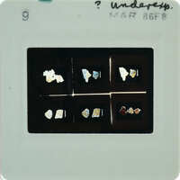 A slide with images of frescoes.