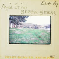 Photo of a grassy field with trees and mountains in the background.