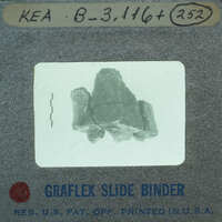 A small, jagged rock specimen encased in a clear plastic slide with labels and information on the slide holder's label.