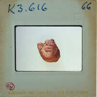 A photograph of a clay face mask on display.