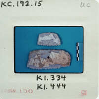 Two small comb fragments with no teeth.