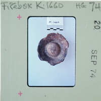 The image shows a small, round object on a label with handwritten text and numbers.