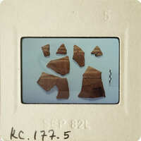 A collection of ancient pottery shards on display.
