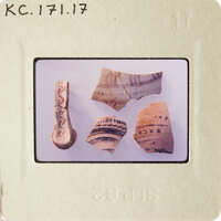 A collection of ancient pottery shards on a white surface.