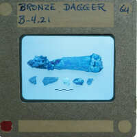 Bone fragment with label, possibly from a dig site.
