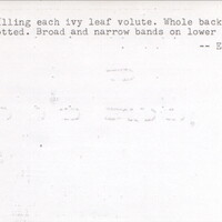 Index card with typed and handwritten information, sometimes including a sketch, of pottery from an excavation.