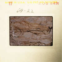 Close-up photograph of rock surface with various textures and layers.