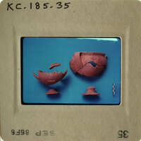 A collection of ancient pottery shards on display.