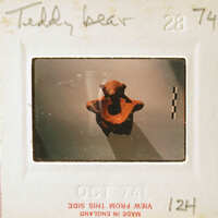 A small brown teddy bear on a white background.