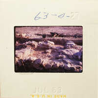 Ancient ruins with stone walls and dirt ground, photographed on film.