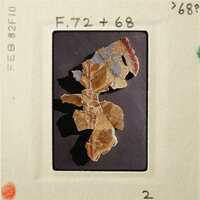 Faded photograph of ancient pottery shards on display.