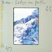A vintage photograph of a rocky cliff with vegetation and snow, taken from an angle that emphasizes the steepness of the terrain.