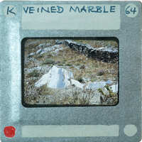 Exposed marble stone coming from the ground.