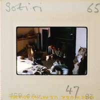 A man sitting at a table with various items, possibly working on something.