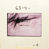 A photograph of an ancient human skeleton on a rock surface.