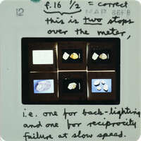 A slide with images of frescoes with handwritten notes on the top and bottom.