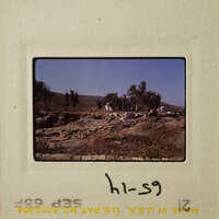 A photograph showing an outdoor landscape with trees and rocks.