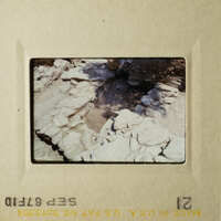 The photo shows two different scenes, each with its own unique elements and composition.