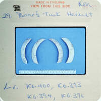 Four boar's tusks on table.