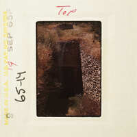 A photo of an ancient stone tunnel with vegetation on its walls and ceiling.