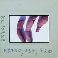 Fragments of three terracotta parts on white background.