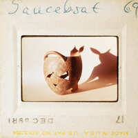 A shadow of a cow on a photo of an old vase.