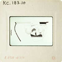 Illustration of human anatomy, specifically the digestive system, on an old slide with visible markings and handwriting.