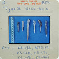 A collection of ancient bone tools on display with labels and measurements.