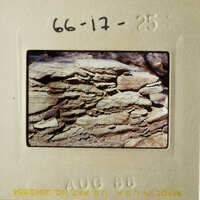 The photo shows a rocky cliff face with layers of rock and vegetation.