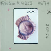 A small, round object with a pattern on it, photographed and placed on a film strip.