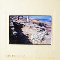 This is an image of a rocky beach with a stone wall and a tree in the background.