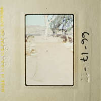 A vintage photo capturing an outdoor scene with a dirt path, a lone tree, and a stone wall.